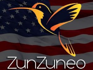 zunzuneo1-2