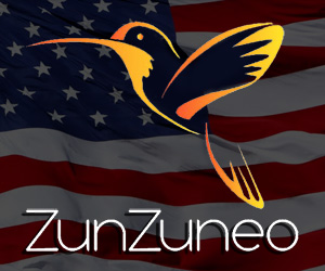 zunzuneo1