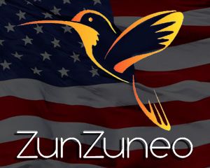 zunzuneo111
