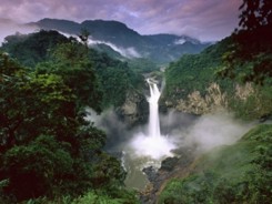 Copia-de-yasuni1