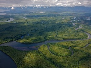 Humedal-Nacional-Terraba-Sierpe-2-600x450 (1)