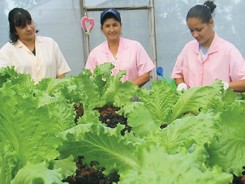 Mujeres-Trojas-Valverde-Vega-ARCHIVO_LNCIMA20140512_0006_1