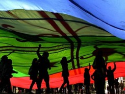 manifestantes mapuche