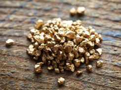 oro-pepitas
