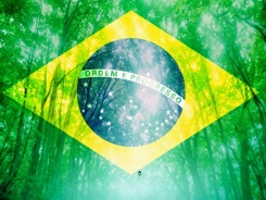 brasil ambiente