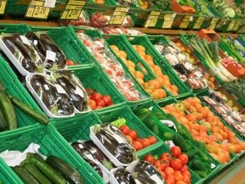alimentos_92