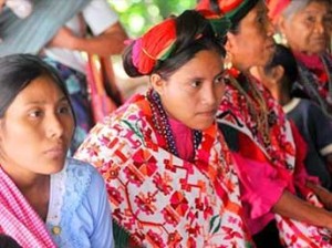 indigena