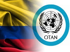 OTANCOLjpg