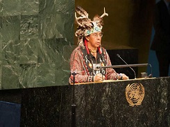 2014_09_indigenas_avancos_desafios_onu.org.br