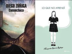 Imagen Nodal
