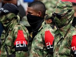 imagen de eln