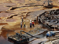 imagen de mexico ecocidio