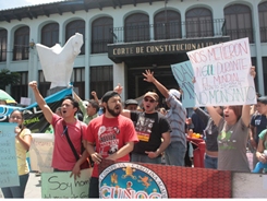 imagen protestas por ley monsanto