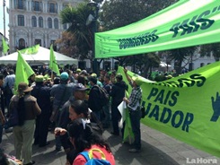 manifestantes a favor del gobierno