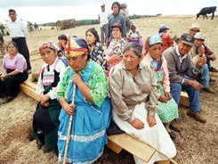 portada_mapuches