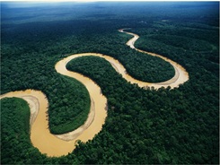 LaAmazoniaPeruana