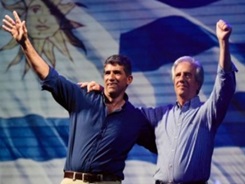 378640.jpg_crop