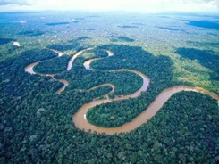 amazonia