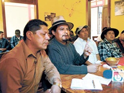consulta ambiental