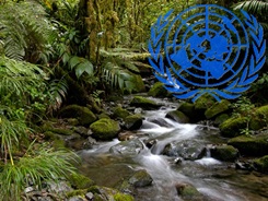 eco4