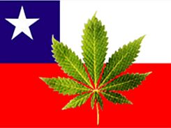 marijuana-chileeee