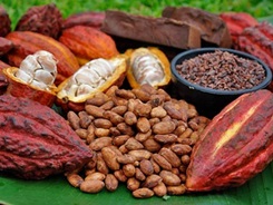 CACAO