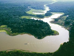 amazonas_pic