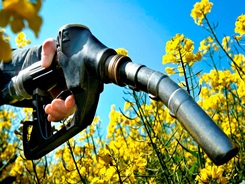biocombustibles