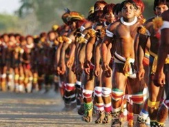 guarani__destacado