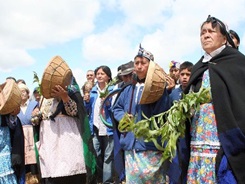 indigenas chile