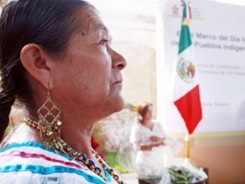 mujerindigena2-300x200