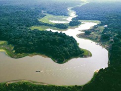 amazonas2