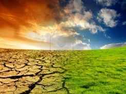 efecto-del-calentamiento-global