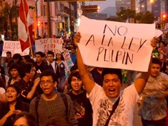 imagen-ley-pulpin