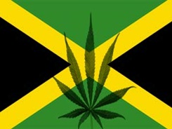 jaimaca_weed