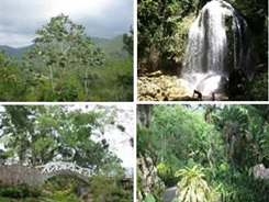 areas-protegidas-occidente-