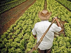Agricultor23r5t23-t23t2t
