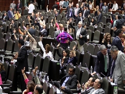 diputados6