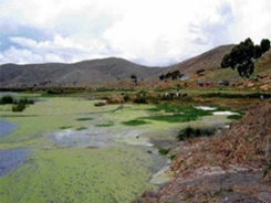 lago titicaca