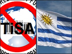 tisa-uy1