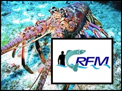 Caribbean Regional Fisheries Mechanism (CRFM)