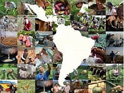 FAO-informe-hambre-en-América-latina-320x272