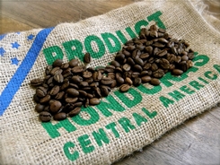 hondurascafe
