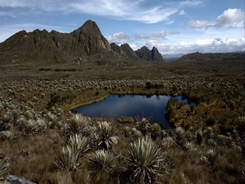 01peru