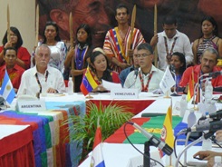 Mercosur Indígena