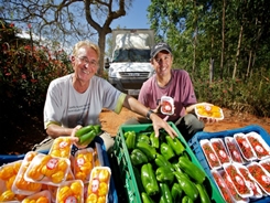 agricultura_familiar_mda