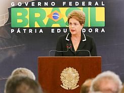 bra