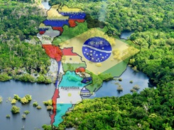forestal- latam
