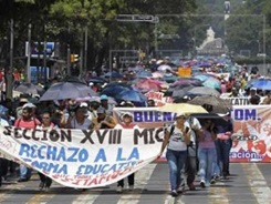 cnte-efe.jpg_1733209419