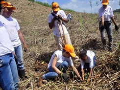 163549_800x600_crop_55e240361ef02